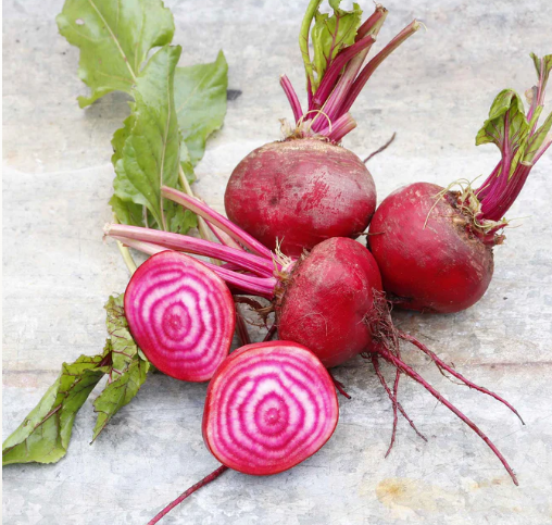 Beets, Chioggia Candy cane