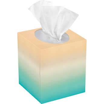 Kirkland Signature Ultra Soft 3-Ply Facial Tissue 84 ct, 1pk