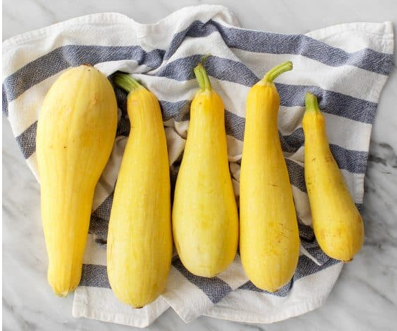 Squash, Yellow Zucchini