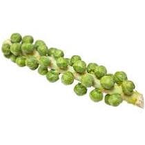 Brussel Sprouts