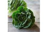 Sweet Gem Lettuce, 2ct