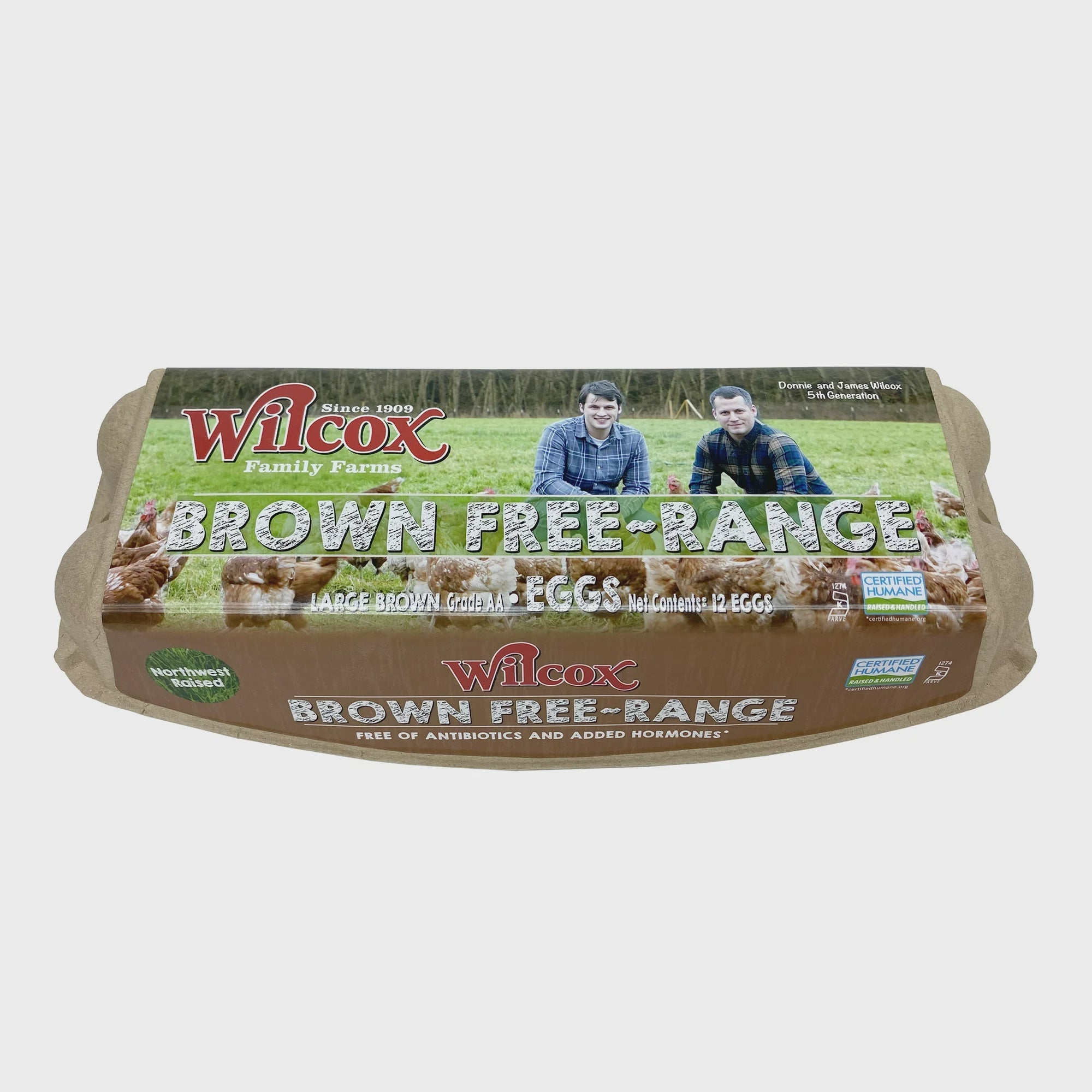 Wilcox Large Brown Free-Range Eggs, 12 ct